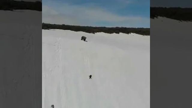 No sera facil el proces смотреть онлайн