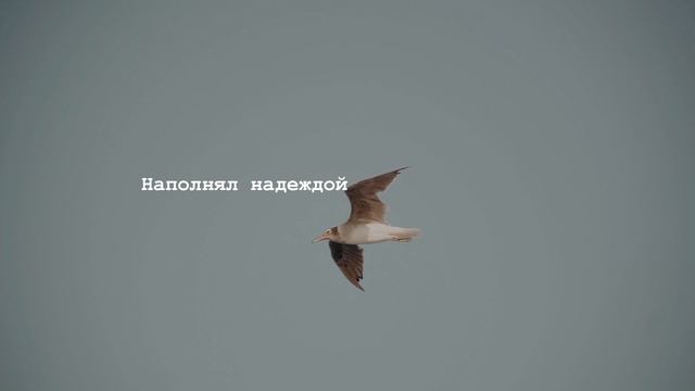 Здравствуй Мама