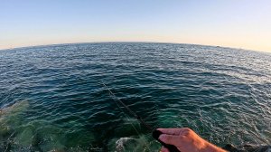Вечерняя рыбалка на черном море. #rockfishing