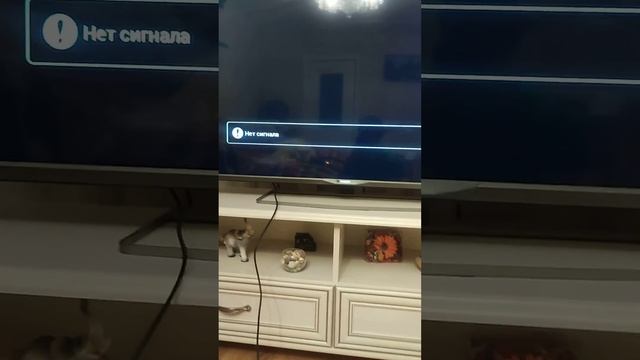 tv android не включается смотреть онлайн