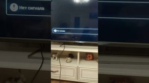 tv android не включается