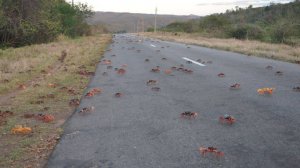 Путешествие на Кубу