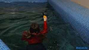 Wetlook skinny jeans | Wetlook Multi-layered clothing | Wetlook girl model