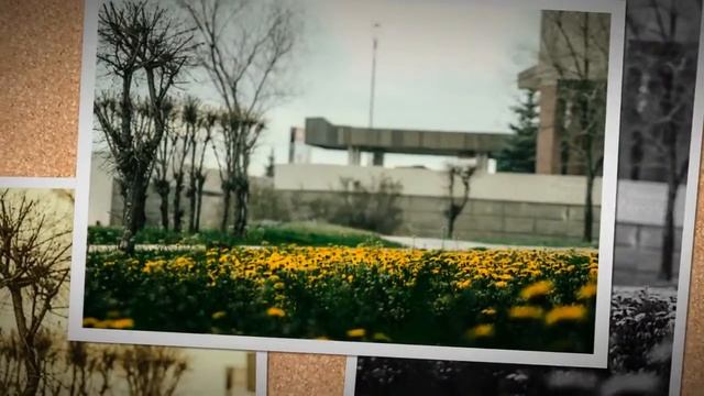 Magnitogorsk смотреть онлайн