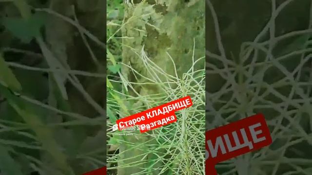 Старое КЛАДБИЩЕ. Разгадка. смотреть онлайн