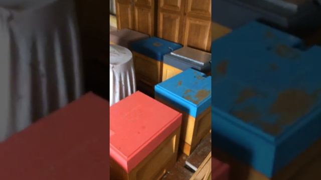 Осмотр пасеки зимовка 2021-2022 Улья ППУ САД