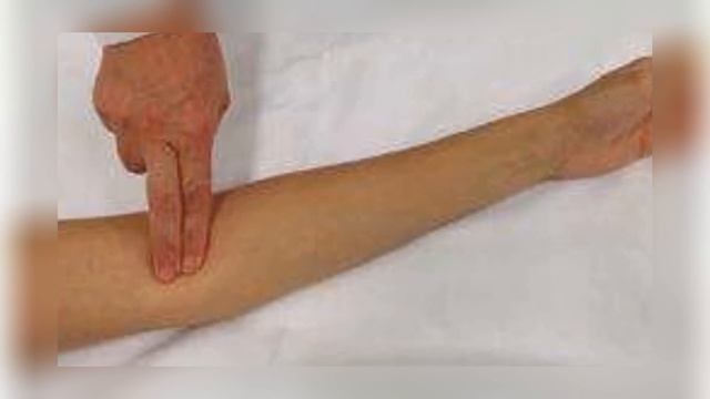 Собака не отходила от гроба девочки, мужчина подошел поближе и позвонил в полицию смотреть онлайн