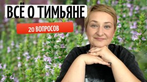 20 вопросов о тимьяне| всё, что вы хотели знать о тимьяне.