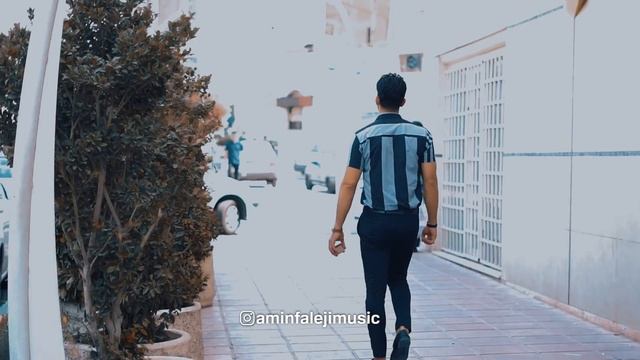 Amin Faleji - Take Del | OFFICIAL MUSIC VIDEO امین فالجی - تک دل смотреть онлайн