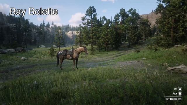 Red Dead Redemption 2 - All Food and Drinks (Reupload) смотреть онлайн