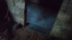 Полы по грунту без черновой стяжки