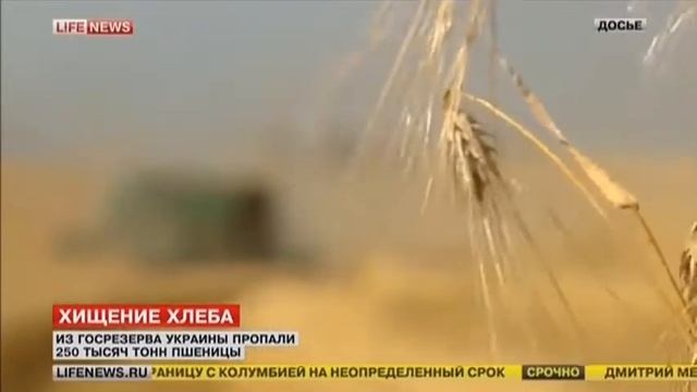 Украина хищение хлеба Госрезерв разворовали Топливо и хлеб сделали ноги Новости Украины Сегодня смотреть онлайн
