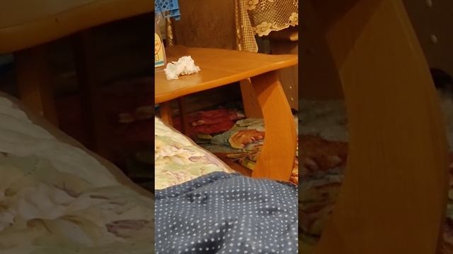 Я 🐕 с и моя подружка 🐭 Ева отказываемся бесплатно сниматься! смотреть онлайн