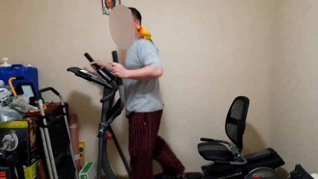 Funny Parrot Exercising at Home | Pet Workout Music смотреть онлайн