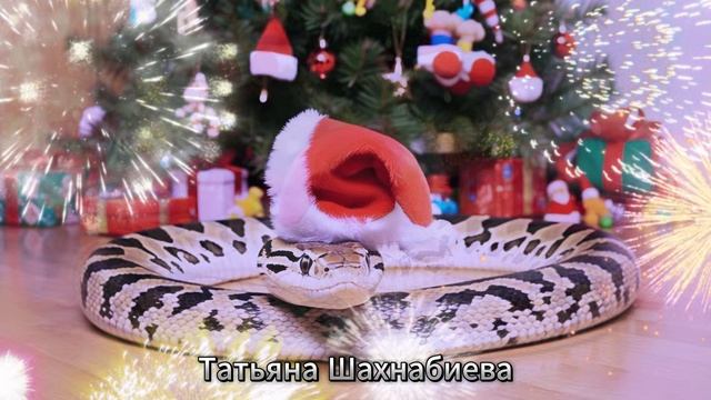 По Земле уже шагает двадцать пятый год ... смотреть онлайн