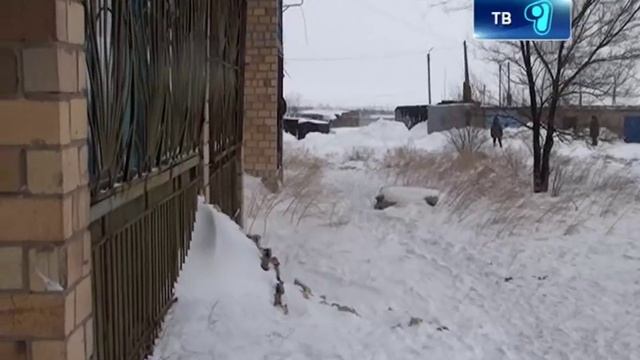 Собаки против людей 15.01.2013 смотреть онлайн