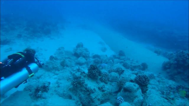 Diving in Hawaii. Mario World! смотреть онлайн