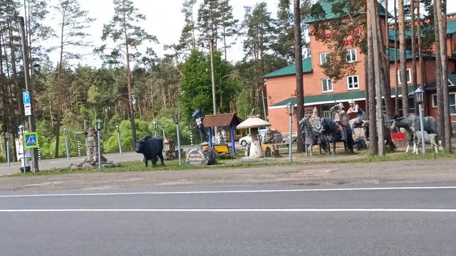 Стоянка для авто в Беларуссии