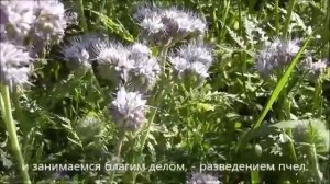 Малый бизнес на тверской земле. Проблемы и решения?
