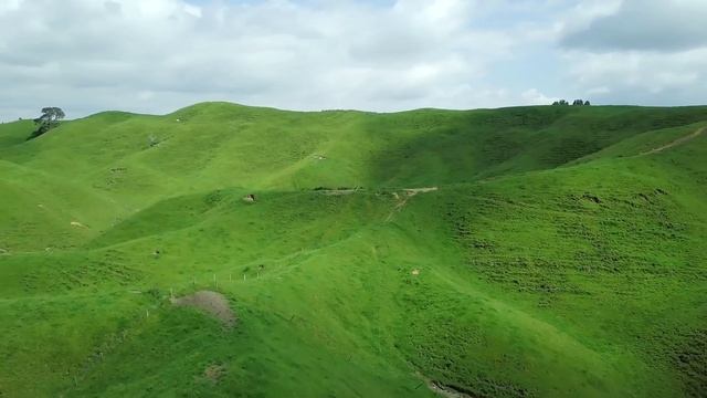 Focus Music For Optimal Workflow & Productivity - Background Music For Working & Studying