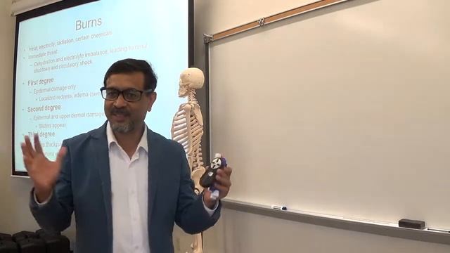 Integumentary 3 смотреть онлайн