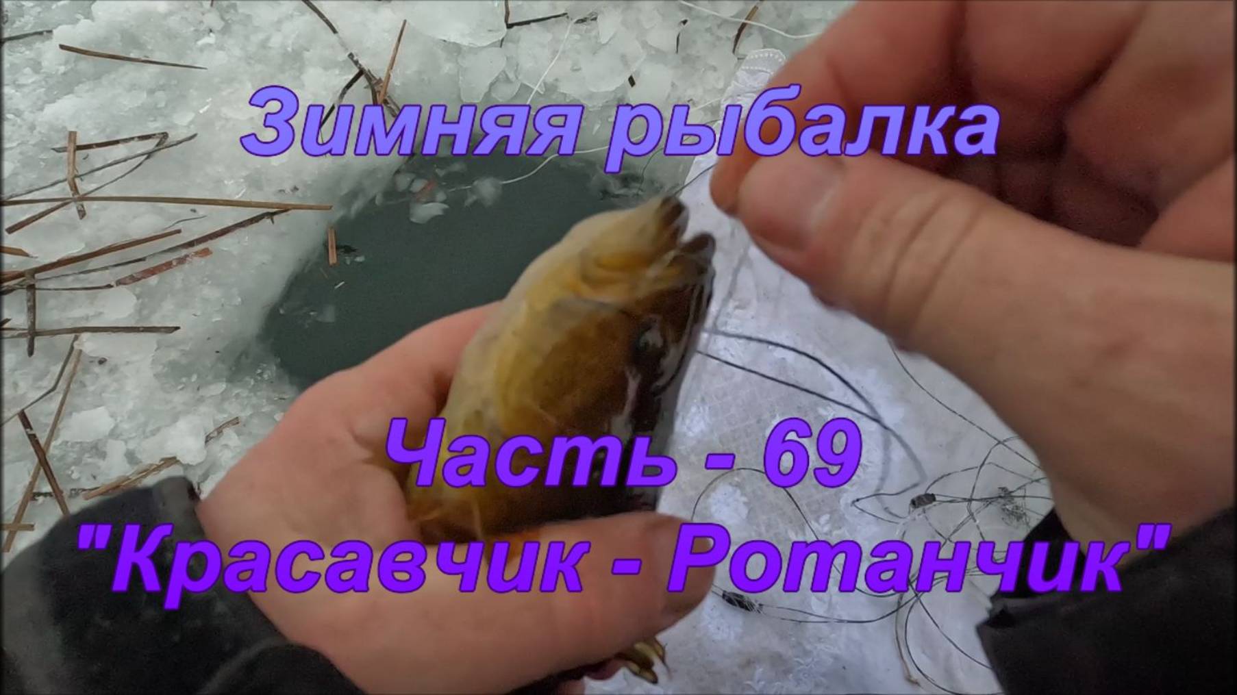 Зимняя рыбалка. Часть - 69. "Красавчик Ротанчик". смотреть онлайн
