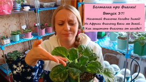 Болталка про Фиалки! Выпуск 37: Фиалка Замерзла! Как ухаживать за фиалками в зимнее время года!