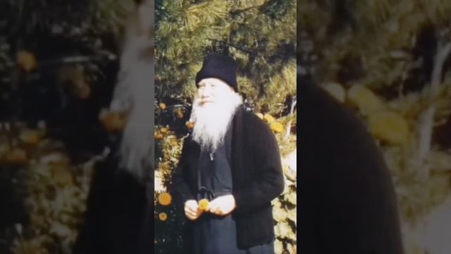 Старцы оживают смотреть онлайн