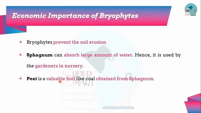 TNPSC General Science (Biology) Class 4 - Classification of Living Organisms(Part 2-Kingdom Plantae смотреть онлайн