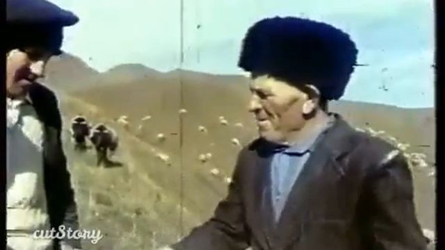 Сумбатль кино