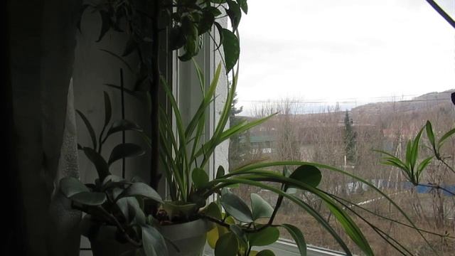 Утро мая смотреть онлайн