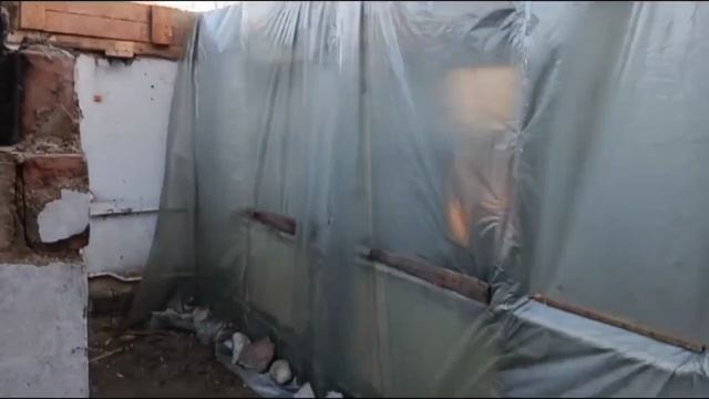 Ейск! Сегодня Алексей один, наши питомцы, нарезка ананаса и работа на доме! смотреть онлайн