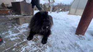 Подготовка к встрече 2025 года