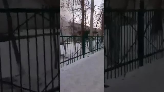В школе №106 струя воды из теплотрассы залила кабинеты смотреть онлайн