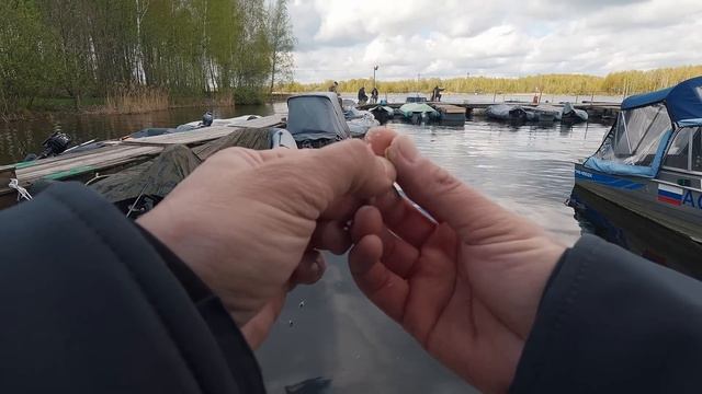 Весенняя РЫБАЛКА НА ФИДЕР И ПОПЛАВОК. Белый Амур смотреть онлайн