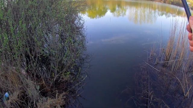 ЛОВЛЯ КАРАСЯ НА ВЕЧЕРНЕЙ ЗОРЬКЕ! ВОТ ЭТО КЛЁВ! рыбалка на поплавочную удочку на карася.familyfishin смотреть онлайн