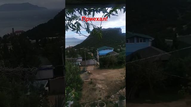 Теперь я в Крыму #memes #shortsvideo смотреть онлайн