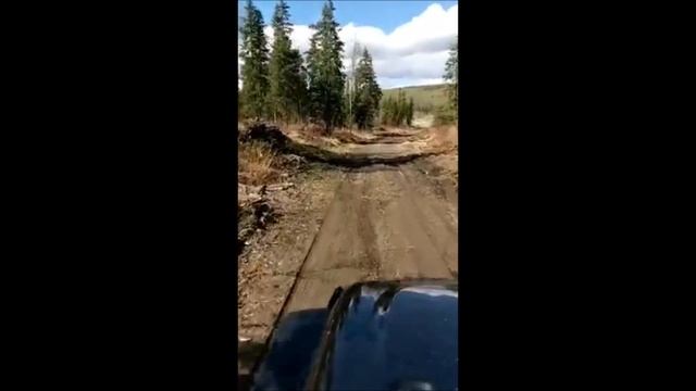 2018 Jeep Wrangler JL out on the trails in Alaska смотреть онлайн