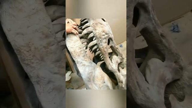 Череп Тирекса🦖•Skull of Tirex🦖 смотреть онлайн