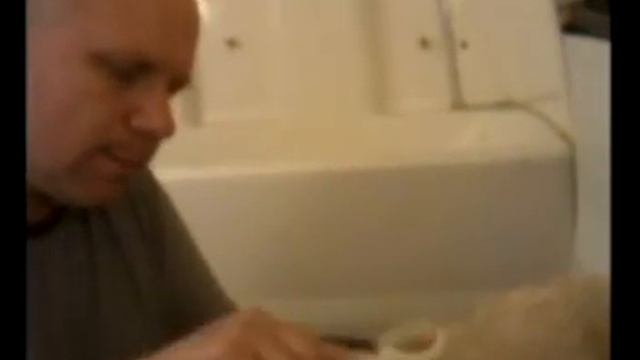 Grooming difficult dog смотреть онлайн