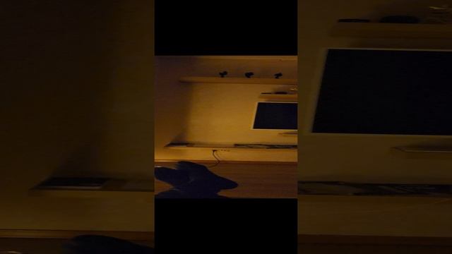 НОВЫЙ ГОД 2025 / КРИПТОВАЛЮТА / БИТКОИН / ЗАХАРКИН РУСЛАН / САМОРАЗВИТИЕ смотреть онлайн