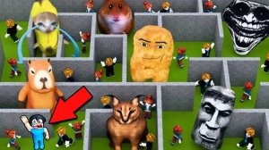 😱100 ИГРОКОВ В ЛАБИРИНТЕ С МЕМАМИ В РОБЛОКС