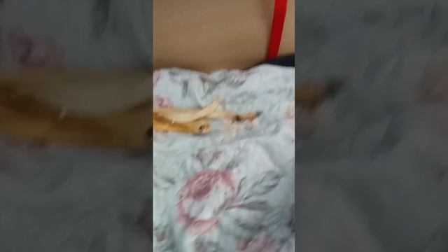 жёлтый мяч это мой бывший друг Эрик смотреть онлайн