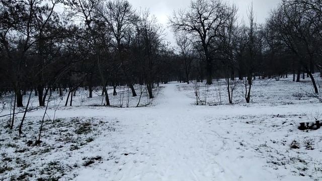 С первым днём февраля! Какая же зима без снега? 01.02.23.