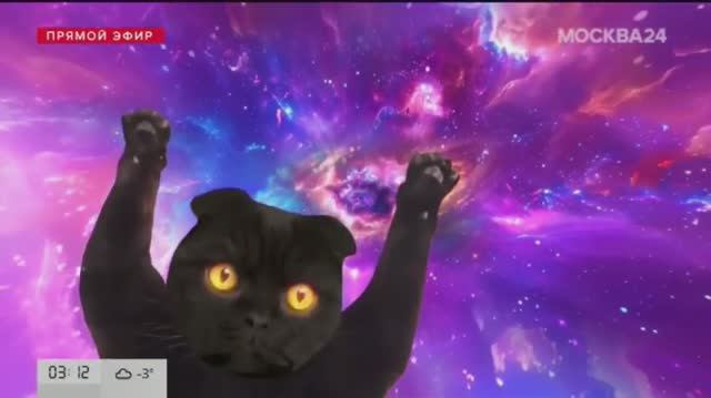 кот Бублик в новогоднюю ночь м24 2024-25г.