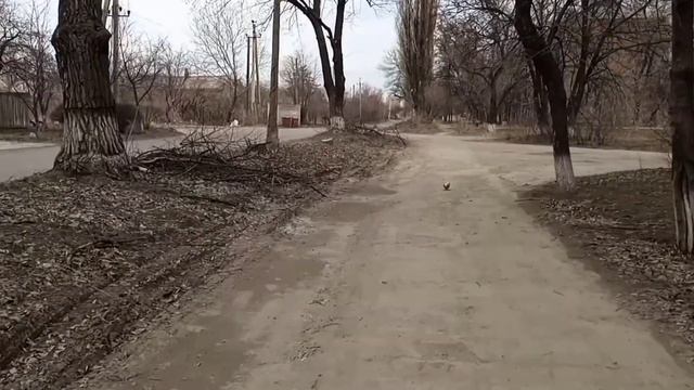 Енакиево. По Комсомольской улочке пешочком прогулочка. смотреть онлайн
