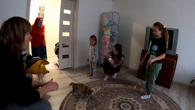 Из Несвижа в Бобруйск/ПОДАРОК для БАБУЛИ/в гостях у двух бабушек/Бобруйск Беларусь смотреть онлайн