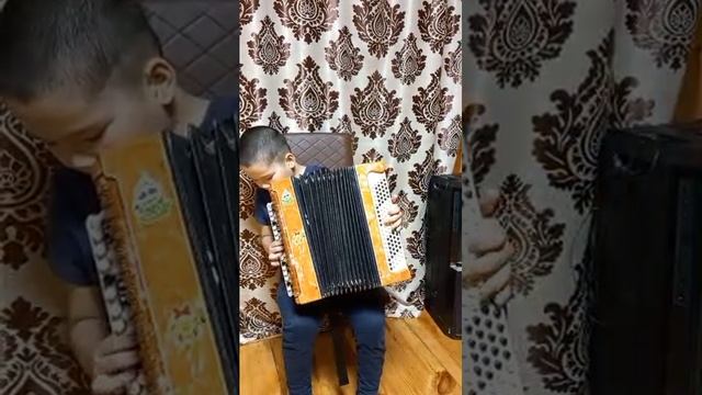 Мой внук-баянист