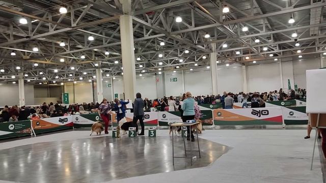 28 ноября 2022 г.(4) смотреть онлайн