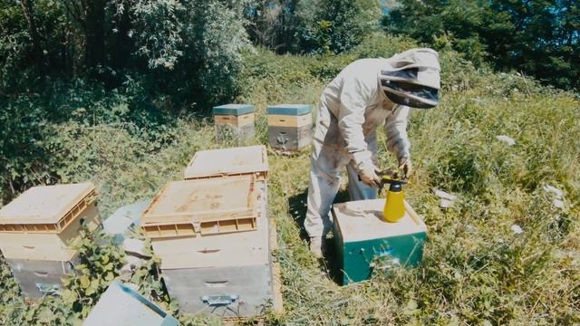 Пчеловодство во Франции - нуклеус
